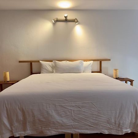 Il Loft Di Charme Di Ricc Apartment Фаенца Екстериор снимка