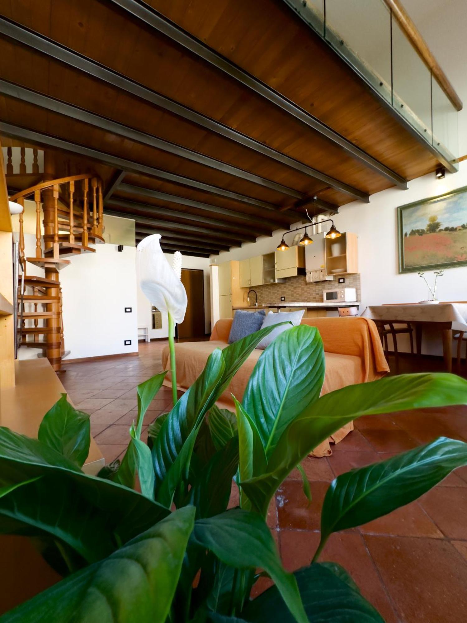 Il Loft Di Charme Di Ricc Apartment Фаенца Екстериор снимка
